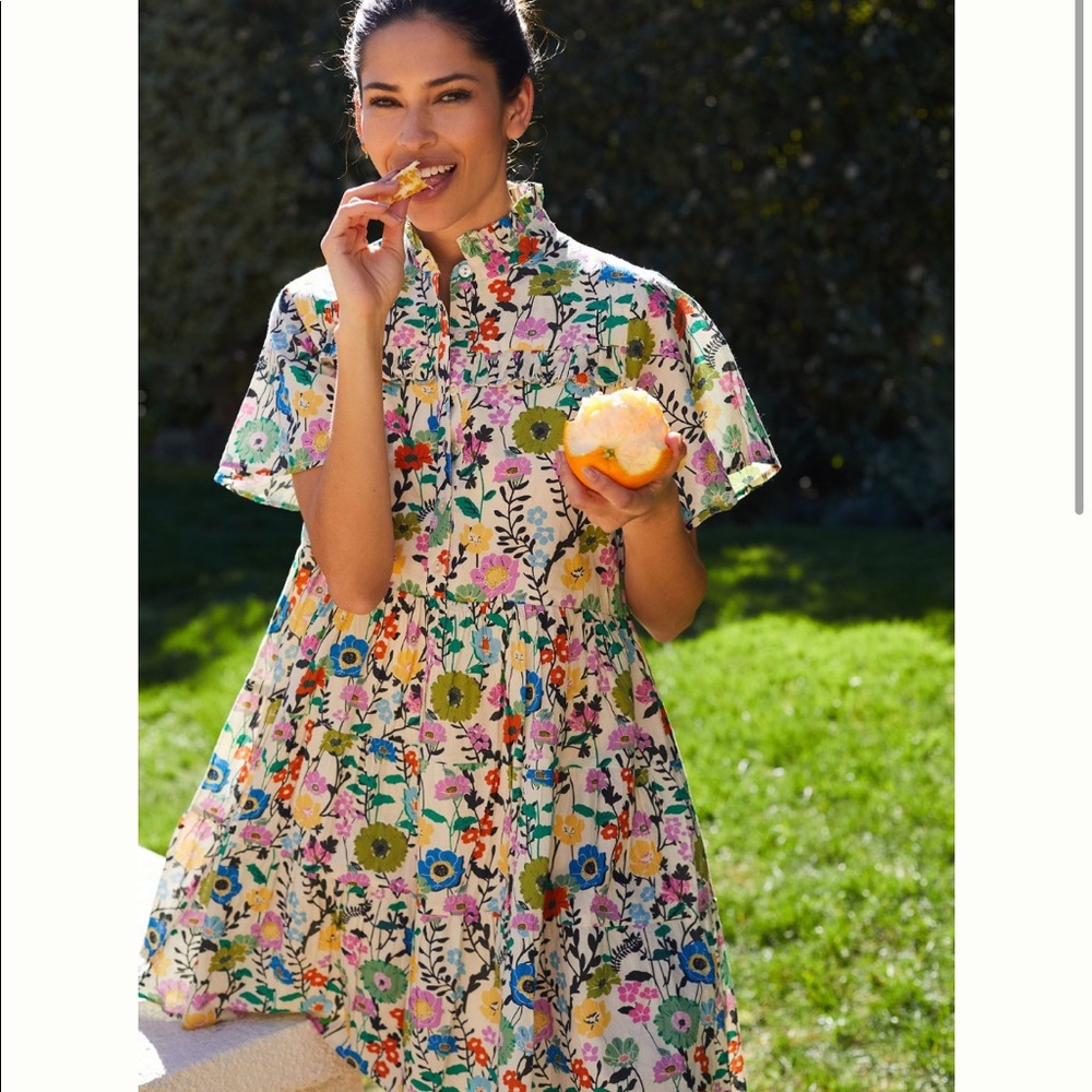 Ro’s Garden x Anthropologie Floral Ruffle Dress